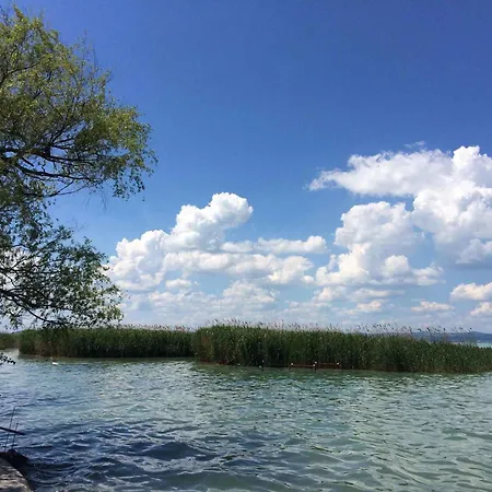 In - Balaton 53480